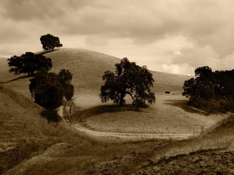 sudoku valid solution screenshot 5